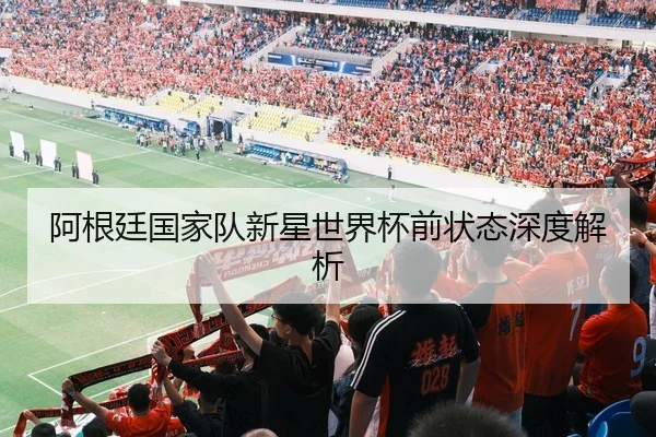 阿根廷国家队新星世界杯前状态深度解析
